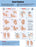 Buy n/a Hand Washing Hygiene Instruction Poster  online at Mountainside Medical Equipment