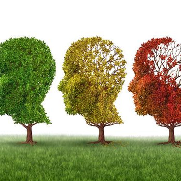 Alzheimer's & Dementia Awareness Month - Part 2: Alzheimer's Disease