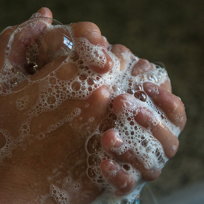 Clean Hands Week: Give a Hand to Hand Washing!