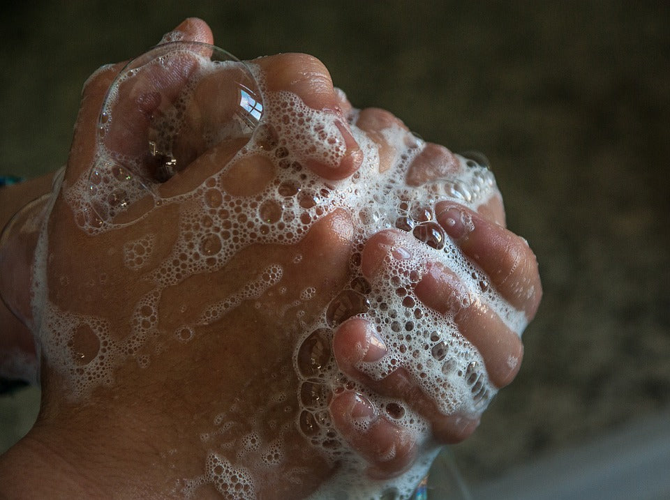 Clean Hands Week: Give a Hand to Hand Washing!