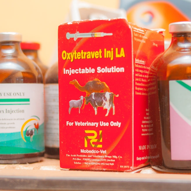 several bottles of vitamin supplements on a shelf