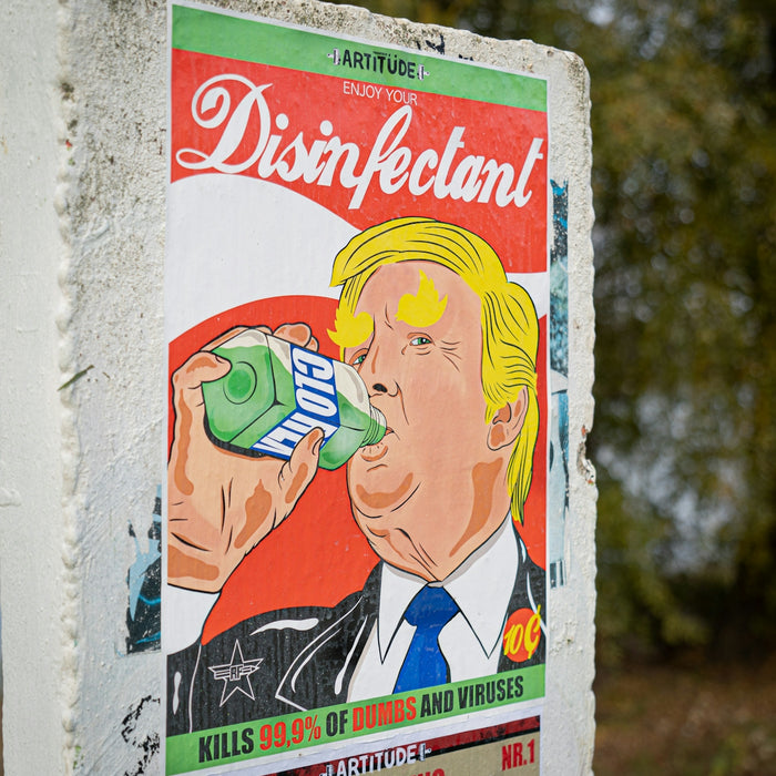 the cat in the hat book