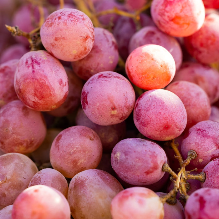 a bunch of grapes that are sitting on a table