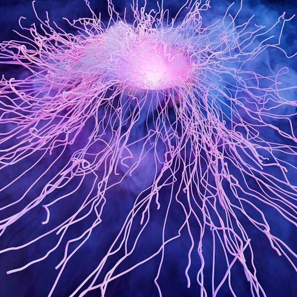 A close up of a cell phone with a blue background