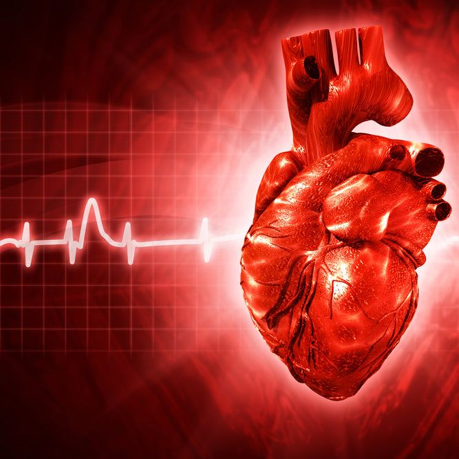 American Heart Month: Cardiovascular Heart Disease