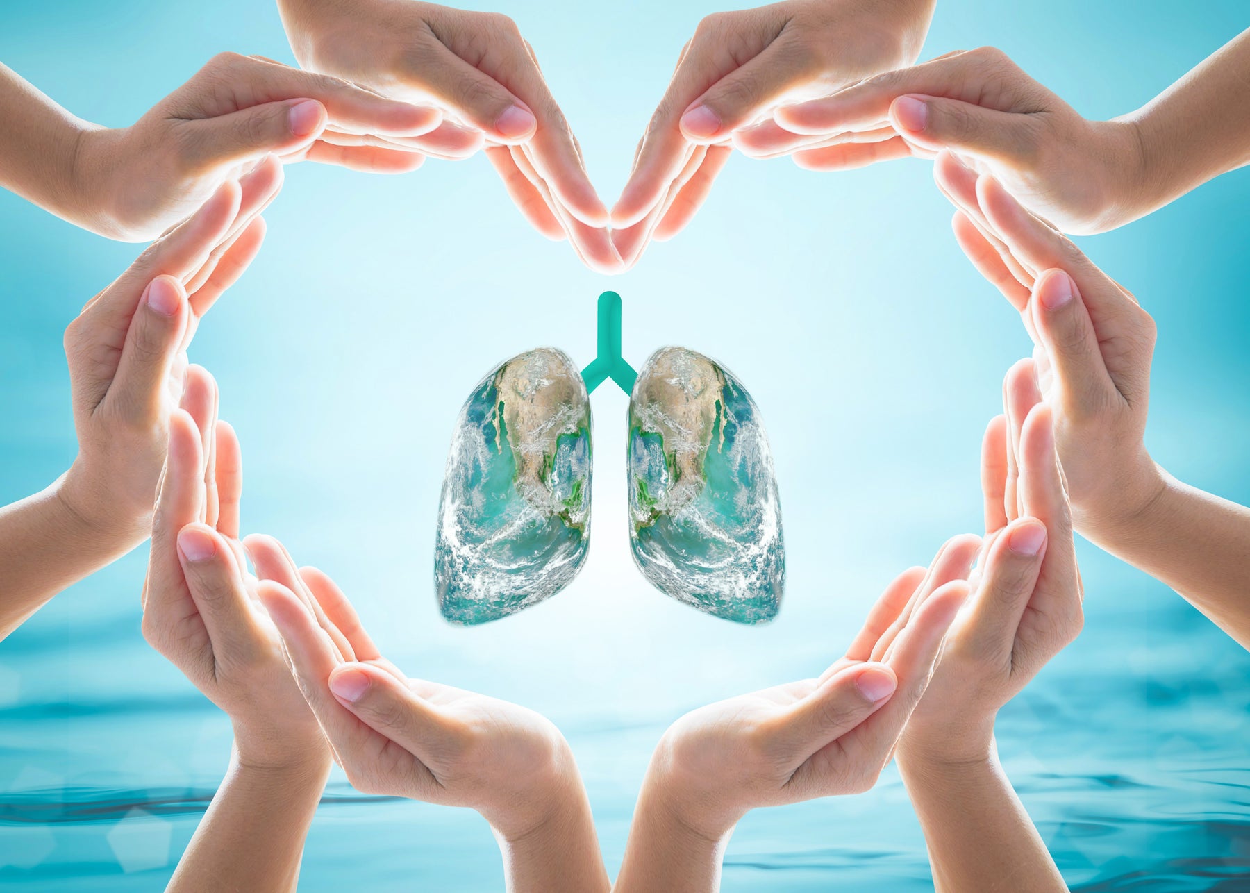 World Lung Cancer Day: Take Our Lung Health Quiz!