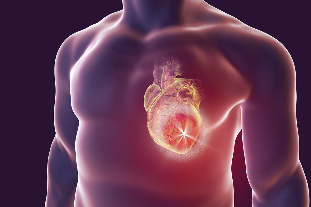 National Heart Valve Disease Awareness Day