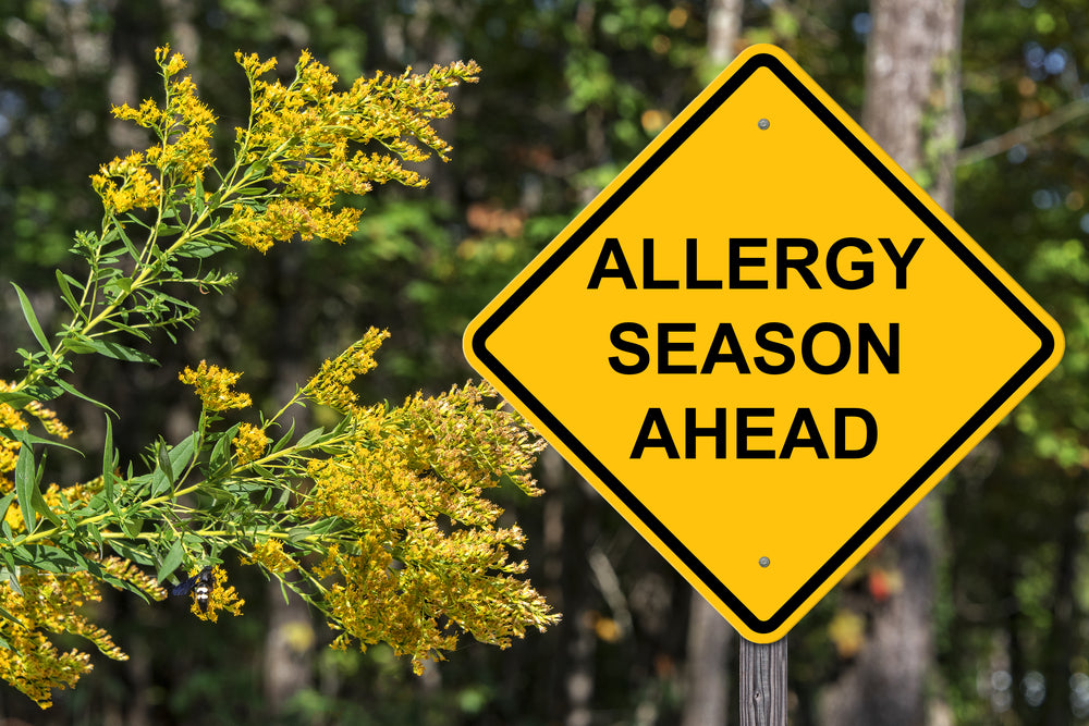 Spring Allergies: How to Tell the Difference Between Allergies, a Cold, and Sinusitis
