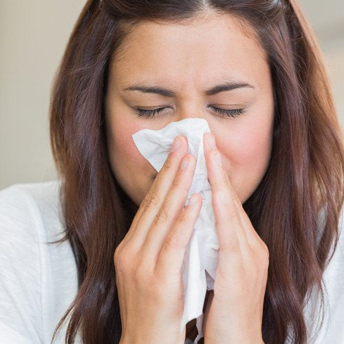 Allergy Relief Products
