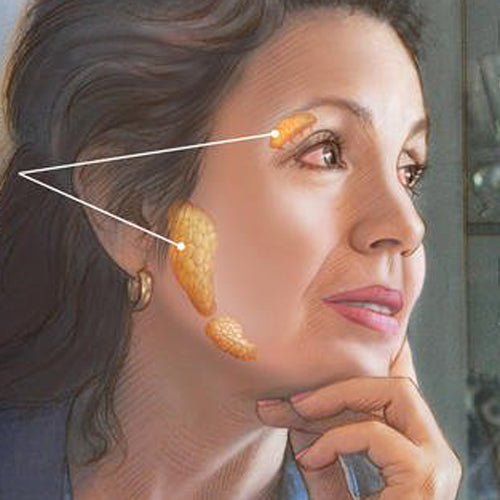 Sjogren's Syndrome Dry Mouth Products