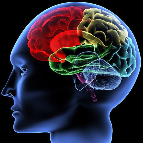 Assorted mental health medicines for anxiety, depression, and mood disorders, supporting emotional and psychological well-being.