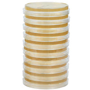 Stack of Air Samples Setting Plates SDA (29 mL, Sterile) 100 × 15 mm, Double-Wrapped