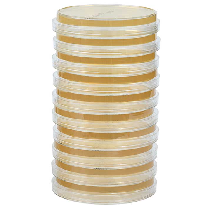 Stack of Air Samples Setting Plates SDA (29 mL, Sterile) 100 × 15 mm, Double-Wrapped