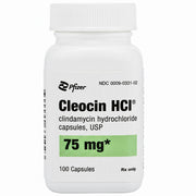 White plastic bottle of Pfizer Cleocin HCI 75 mg capsules with black text, green highlight for dosage, 100 capsules, Rx only