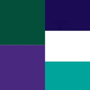 CoFlex NL Cohesive Bandages Self-Adherent (Coban) Assorted Colors (Teal, Blue, White, Purple and Green) 1 x 5 yard Rolls Assorted Colors (30/Box) 1 1/2 x 5 Yrd Rolls Assorted Colors (48/Box) 2 x 5 Yard Rolls Assorted Colors (36/Box) 3 x 5 Yard Rolls Assorted Colors (24/Case)