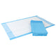 Disposable Underpads 17 x 24 Incontinence Protecion Pads,  100/ Pack