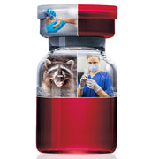 HyperRAB Rabies Vaccine Immune Globulin Vail Dosge 300 mL