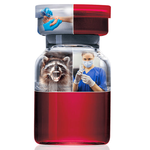 HyperRAB Rabies Vaccine Immune Globulin Vail Dosge 300 mL