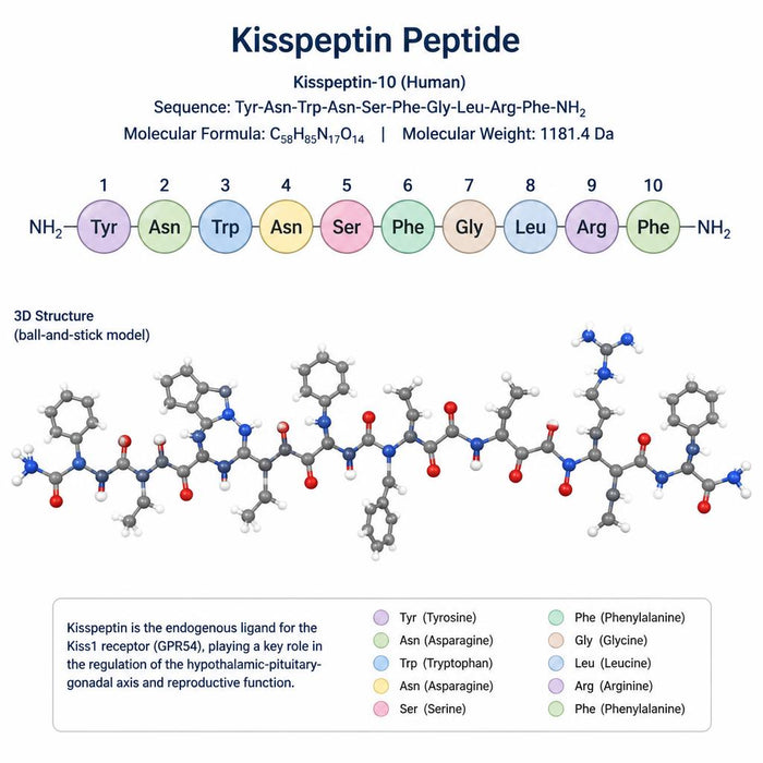 Kisspeptin Peptide