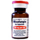Micafungin Sodium for Injection 100 mg Powder Vial
