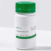 Pregnenolone (Micronized) Powder for Compounding (API) (Rx) 25 g 100 g 500 g 1 Kg