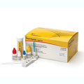 Rapid Strep A Test Dipsticks, CLIA-waived, 5 Minute Results by Cardinal Health 50 Tests