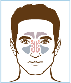 Buy Alkalol Company Alkalol Nasal Wash with Nasal Wash Cup Included  online at Mountainside Medical Equipment