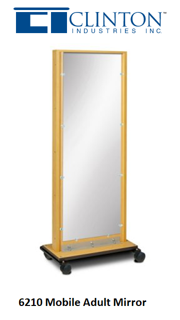 Buy Clinton Industries Mobile Physical Therapy Mirror 6210 Portable  online at Mountainside Medical Equipment