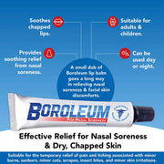 Buy Reliable Labrotories Boroleum Ointment for Dry Nasal Soreness and Chapped Lips  online at Mountainside Medical Equipment