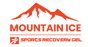 Buy Mountain Ice Mountain Ice Sports Recovery Muscle Pain Relief Gel 4 oz - Giant Eagle  online at Mountainside Medical Equipment