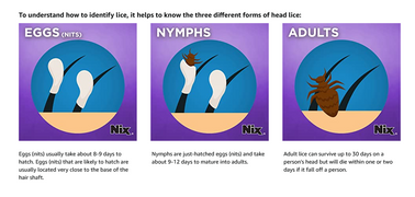 Buy MedTech Nix Lice Killing Treatment Cream Rinse with Nit Comb -Kills Lice & Eggs (Nits)  online at Mountainside Medical Equipment