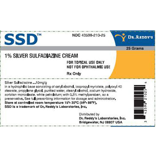 Dr Reddys Laboratories SSD Silver Sulfadiazine Cream 1%, 25 gram Tube 