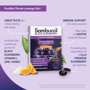 Buy Emerson Healthcare Sambucol Black Elderberry Throat Lozenges Pastilles with Vitamin C & Zinc, 20 Count  online at Mountainside Medical Equipment