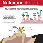 Illustration on How Narcan Works, showing its action in reversing opioid overdose and restoring normal breathing quickly.