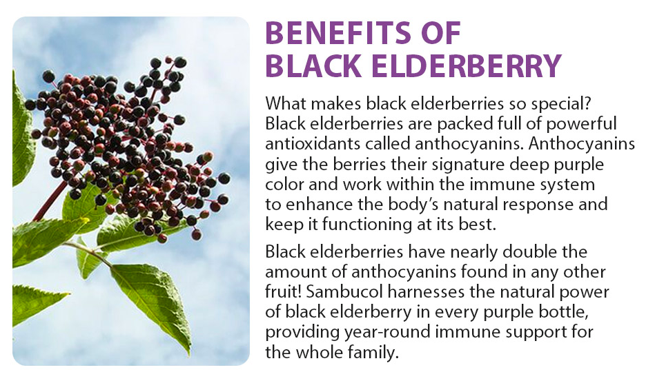 Buy Emerson Healthcare Sambucol Black Elderberry Throat Lozenges Pastilles with Vitamin C & Zinc, 20 Count  online at Mountainside Medical Equipment