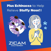 Buy Church & Dwight Zicam Cold Remedy Rapidmelts with Echinacea Lemon Lime Flavor 25 Count  online at Mountainside Medical Equipment