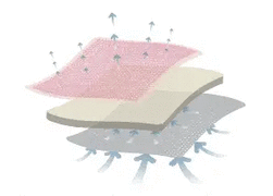 Buy Smith & Nephew Allevyn™ Life Silicone Gel Adhesive Foam Border Dressings, 10/bx  online at Mountainside Medical Equipment
