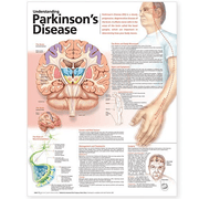 Buy Anatomical Chart Company Anatomy Poster Wall Charts  online at Mountainside Medical Equipment