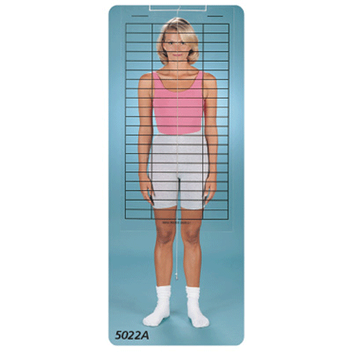 Buy Fabrication Enterprises Baseline Posture Evaluation Kit  online at Mountainside Medical Equipment