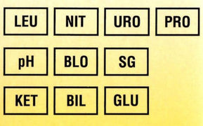 Image of the ten parameters that Multistix 10 SG Urine Reagent Strips