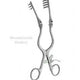Beckman Weitlaner Retractor with Hinged Blades