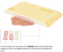 Buy Coloplast Corporation Biatain Sacral 9 x 9 Adhesive Border Dressings (5-Pack)  online at Mountainside Medical Equipment