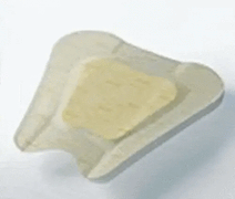 Buy Coloplast Corporation Biatain Sacral 9 x 9 Adhesive Border Dressings (5-Pack)  online at Mountainside Medical Equipment