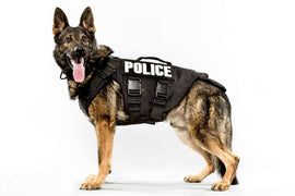 Buy Mountainside Medical Equipment K9 Naloxone kit to Treat Dog Overdoses (Dog Life Saving Kit) (Rx)  online at Mountainside Medical Equipment