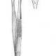 Collin Duval Tissue Forceps