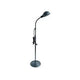 Gooseneck Examination Lamp, Chrome Finish