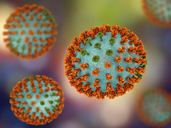 Image of the Influenza virus under microscope