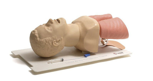 Buy Laerdal Laerdal Airway Management Trainer Manikin, Adult  online at Mountainside Medical Equipment
