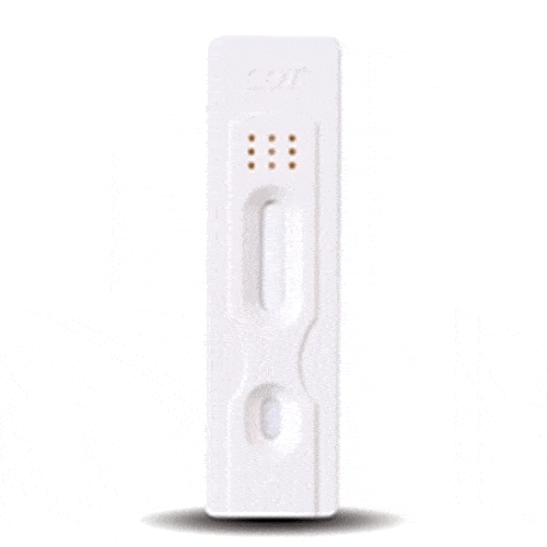NicQuick Urine Cotinine Test 40/Box for accurate nicotine detection and comprehensive health screening.
