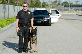 Buy Mountainside Medical Equipment K9 Naloxone kit to Treat Dog Overdoses (Dog Life Saving Kit) (Rx)  online at Mountainside Medical Equipment